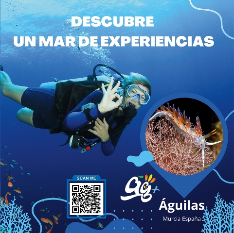 CENTROS DE BUCEO