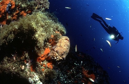 CENTROS DE BUCEO