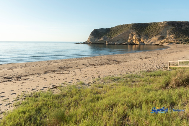 ESTADO DEL MAR, AFORO Y BANDERAS EN  PLAYAS DEGUILAS 